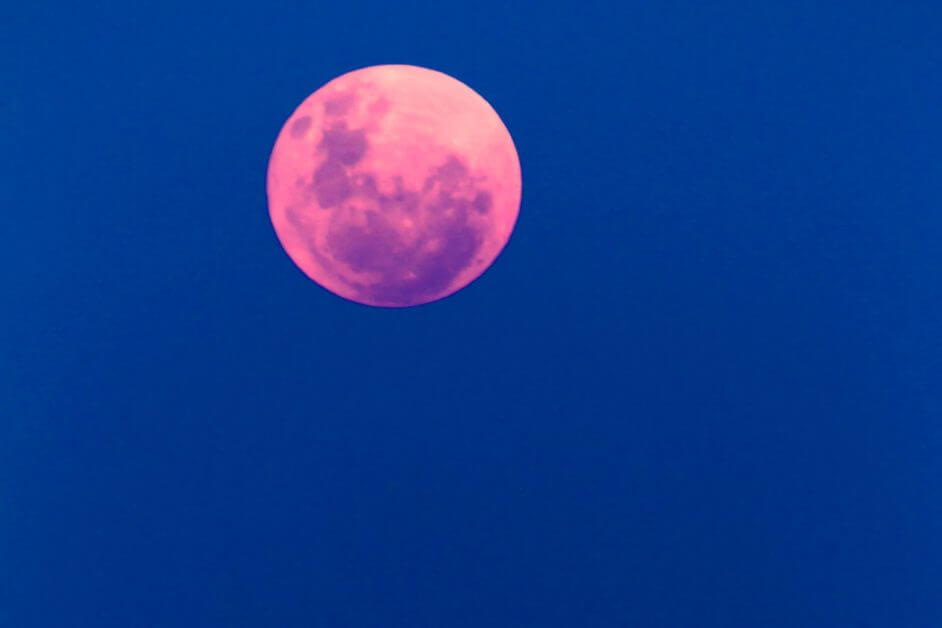 Pink Moon